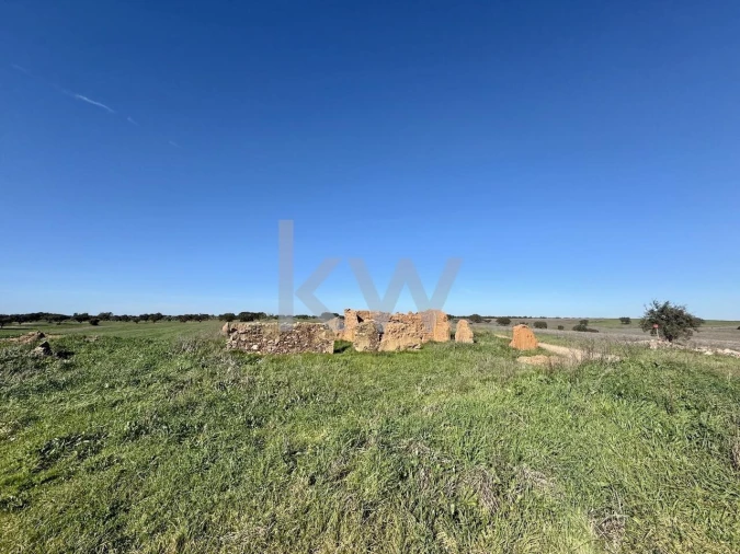 Terreno para Venda em Entradas