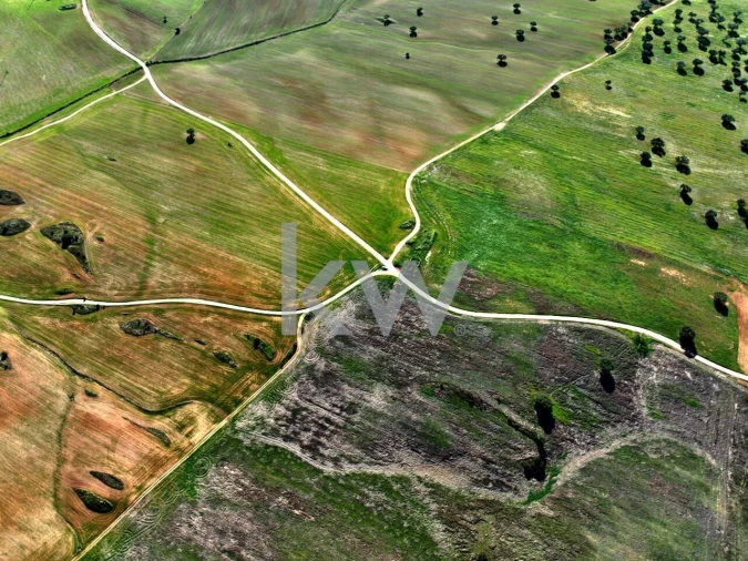 Terreno para Venda em Entradas Foto 5