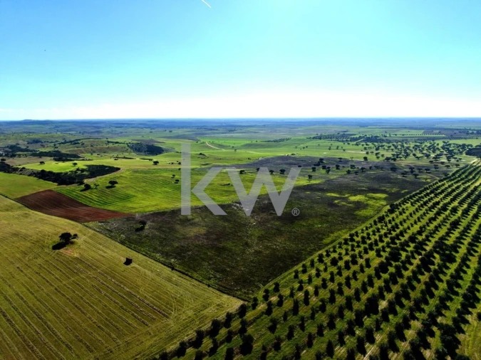Terreno para Venda em Entradas Foto 9