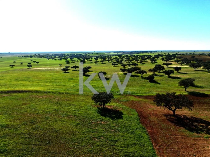 Terreno para Venda em Entradas Foto 22