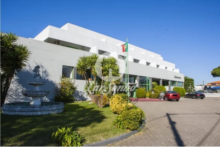 Negócio para Venda em Estela Foto 4