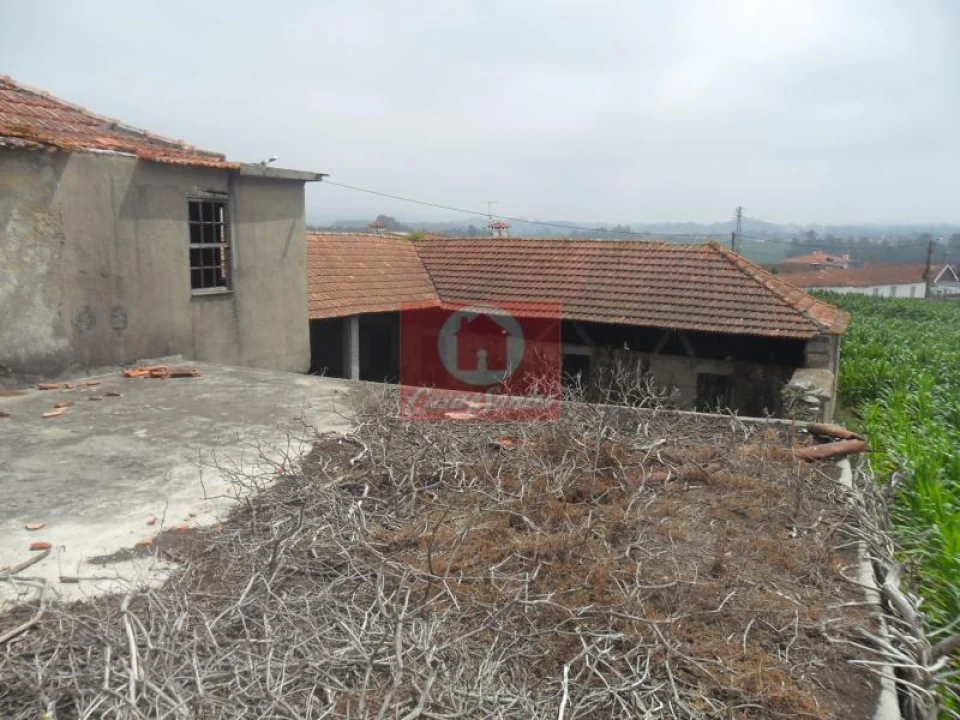 Quinta T5 para Venda em Rates Foto 2