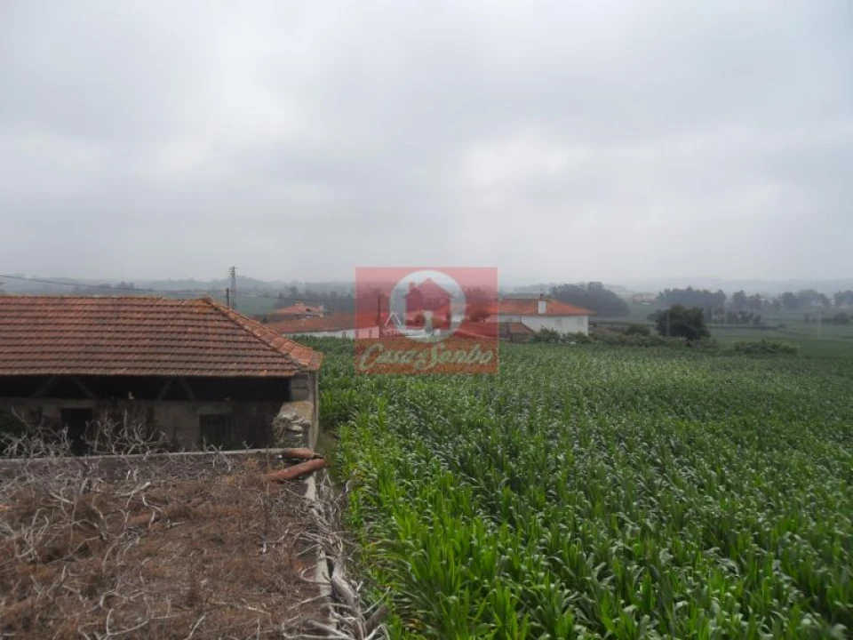 Quinta T5 para Venda em Rates Foto 3