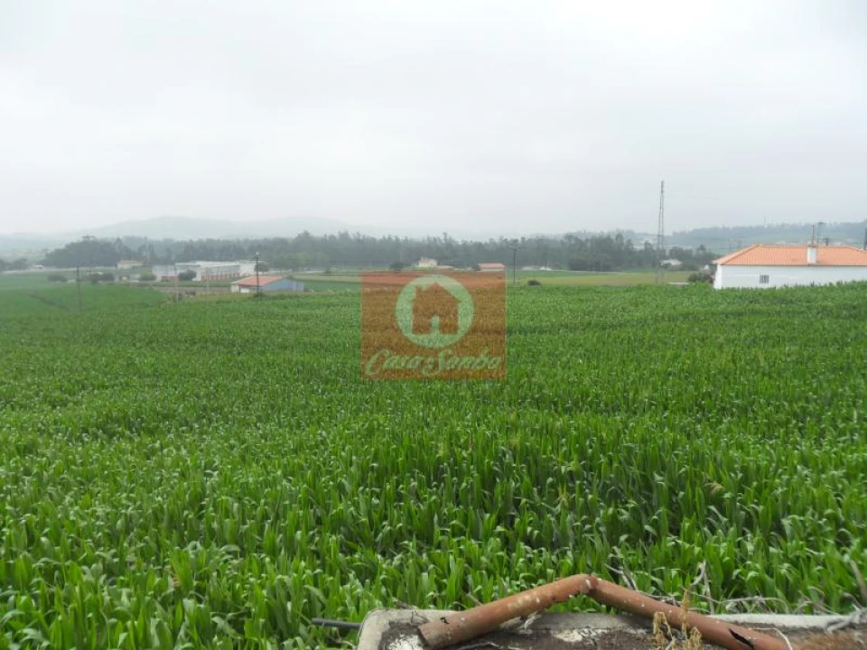 Quinta T5 para Venda em Rates Foto 4