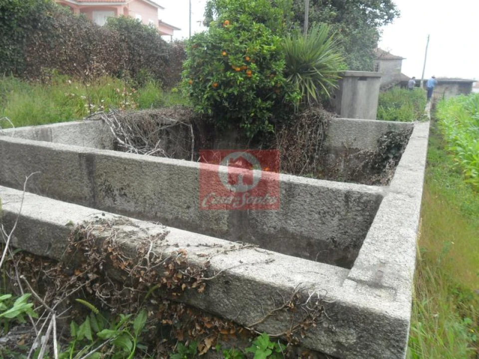 Quinta T5 para Venda em Rates Foto 8