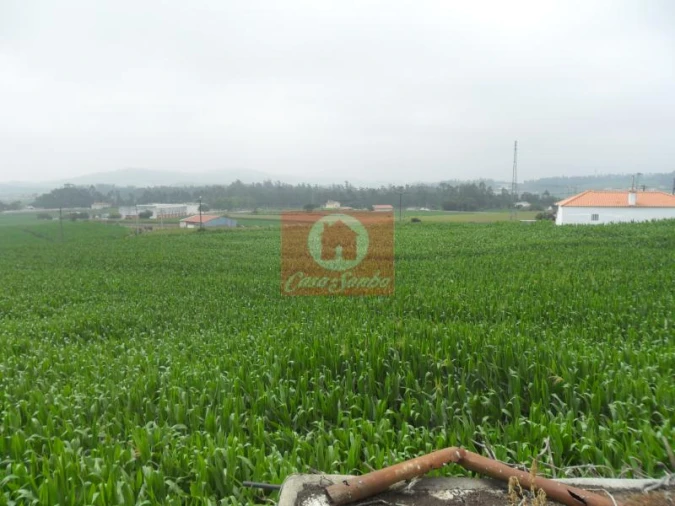 Quinta T5 para Venda em Rates Foto 4