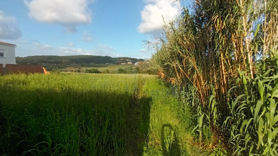 Moradia T3 para Venda em Atouguia da Baleia Foto 55