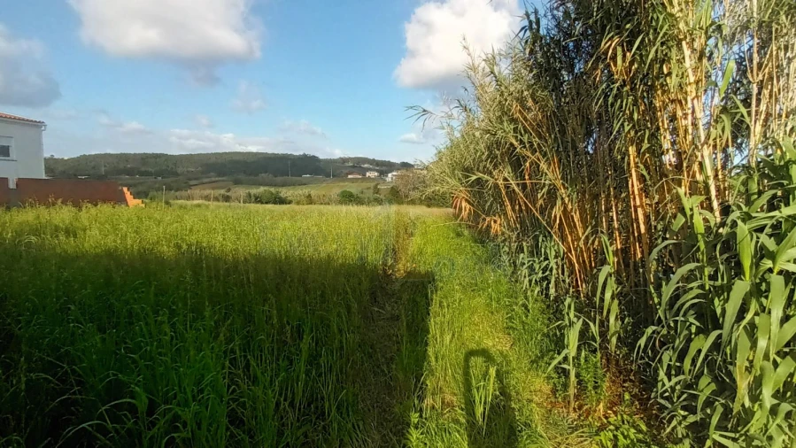 Moradia T3 para Venda em Atouguia da Baleia Foto 54