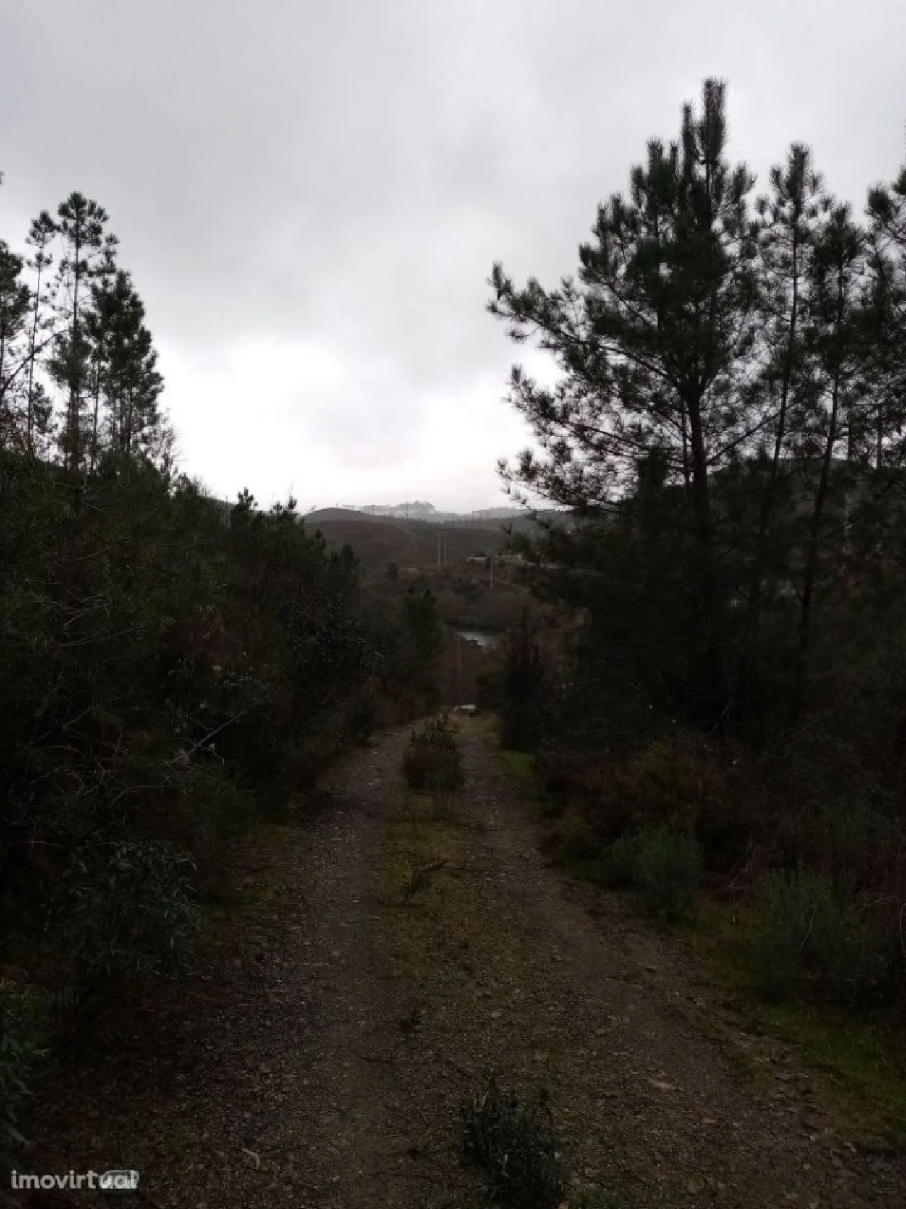 Terreno para Venda em Belver Foto 12