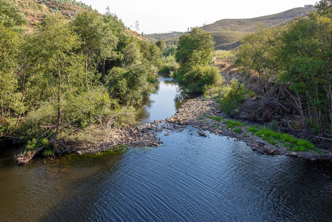 Terreno Agricola ou Rústico para Venda em Mação, Penhascoso e Aboboreira Foto 4