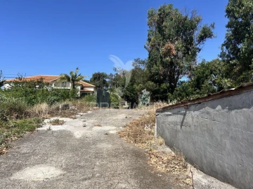 Terreno para Venda em Santa Cruz
