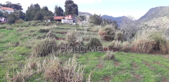 Terreno para Venda em Santa Cruz