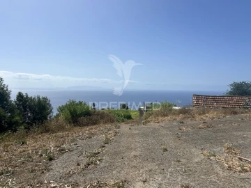 Terreno para Venda em Santa Cruz