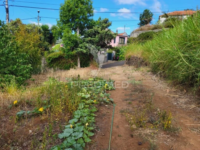 Terreno para Venda em Santa Cruz Foto 4