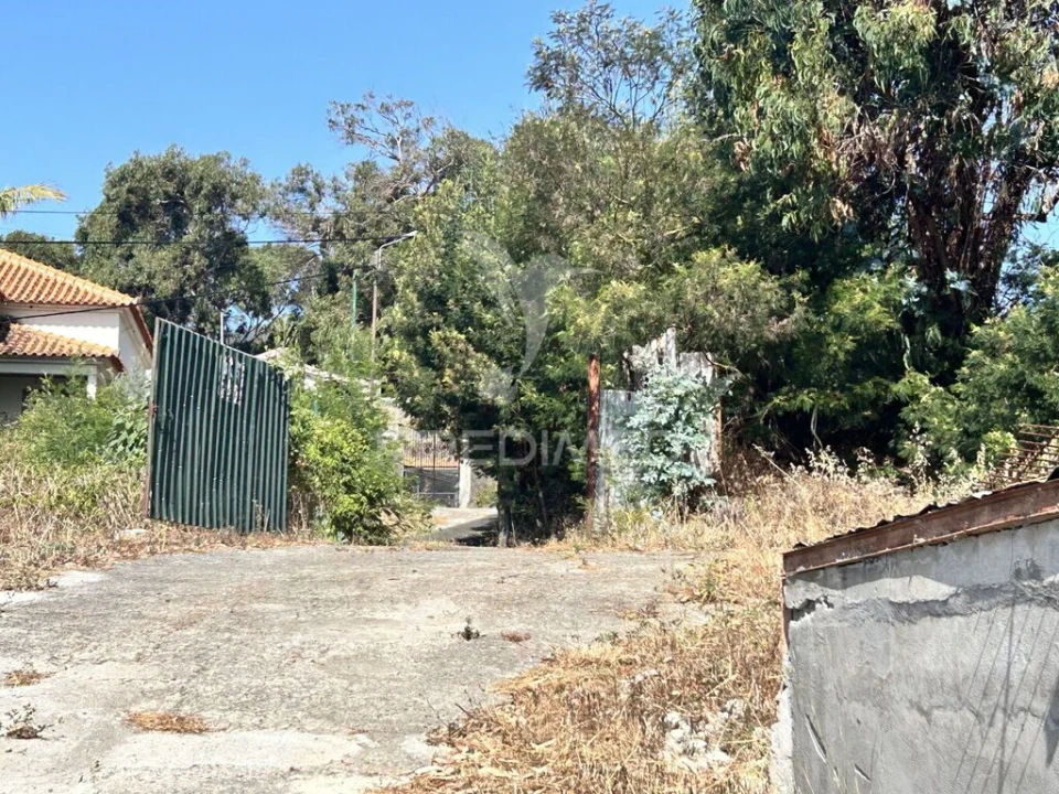 Terreno para Venda em Santa Cruz Foto 15