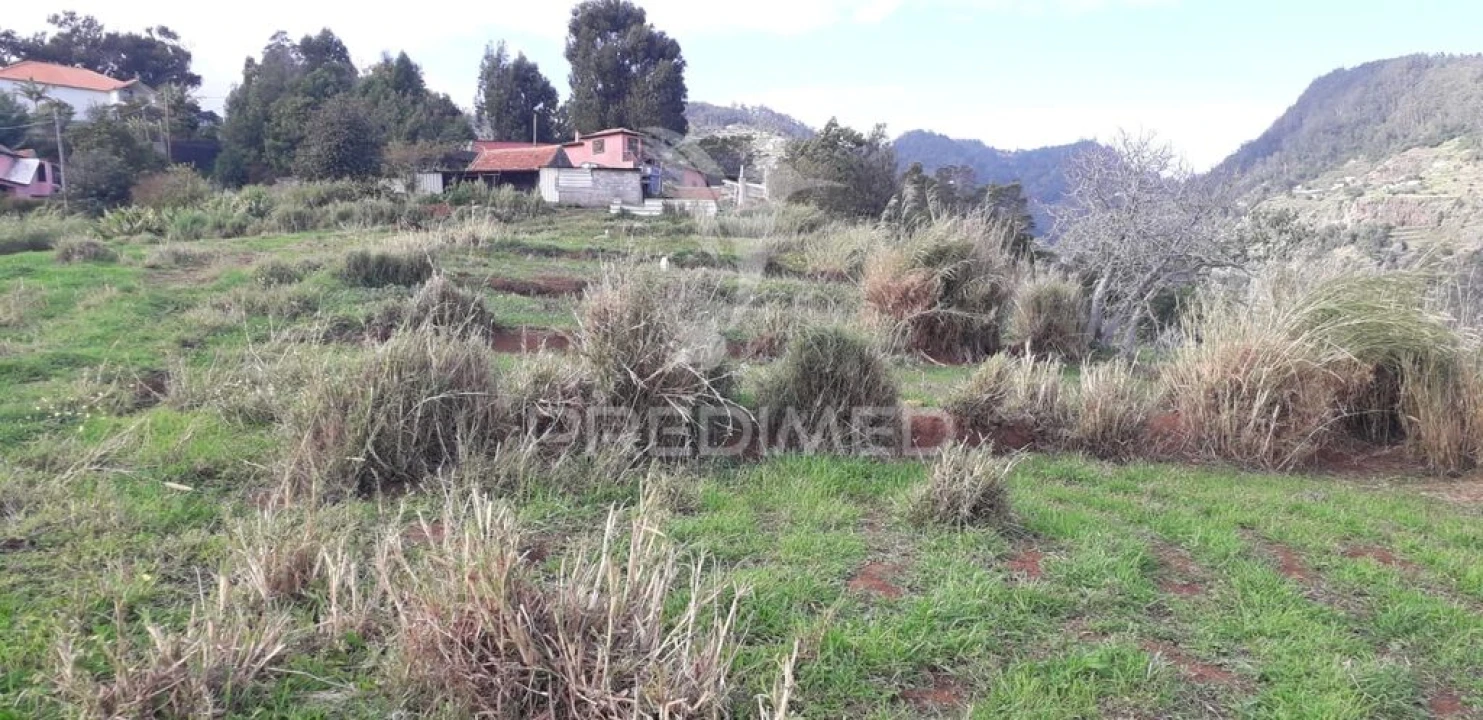 Terreno para Venda em Santa Cruz Foto 7