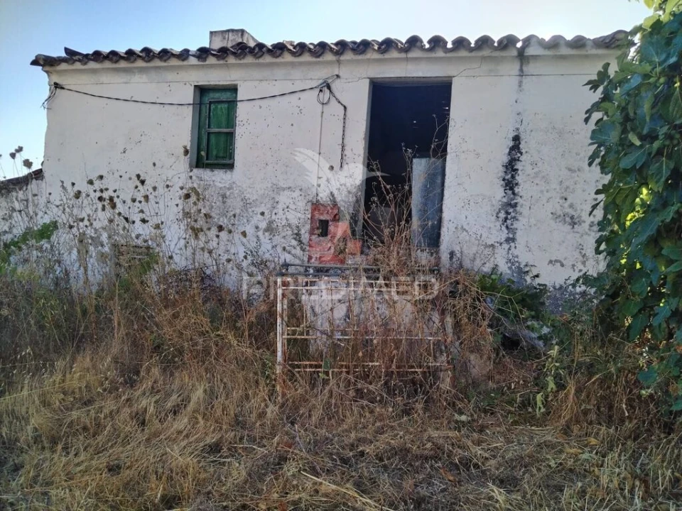 Quinta para Venda em Reguengo e São Julião Foto 1