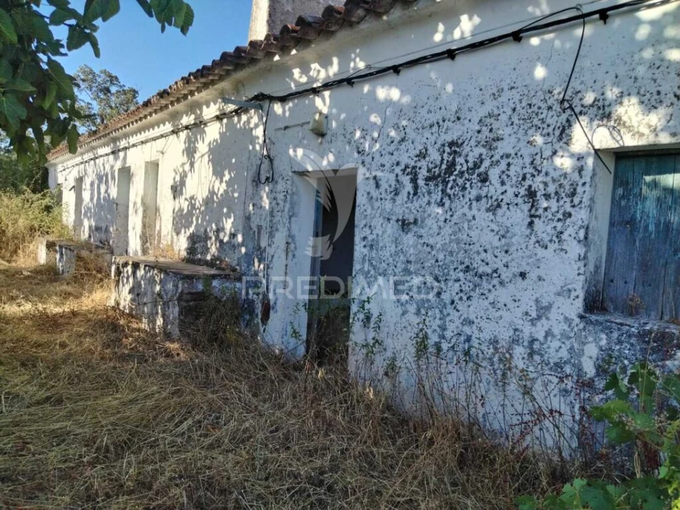 Quinta para Venda em Reguengo e São Julião Foto 4