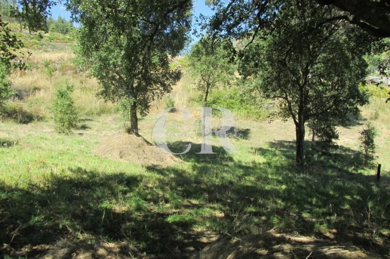 Moradia T7 para Venda em Cumeeira Foto 36