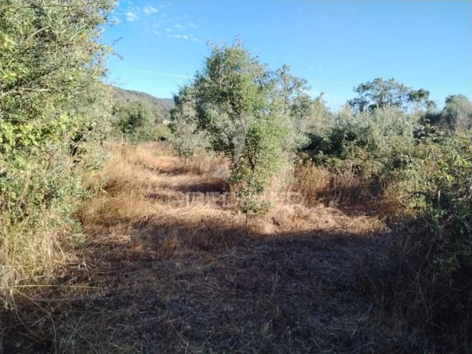 Terreno para Venda em Reguengo e São Julião