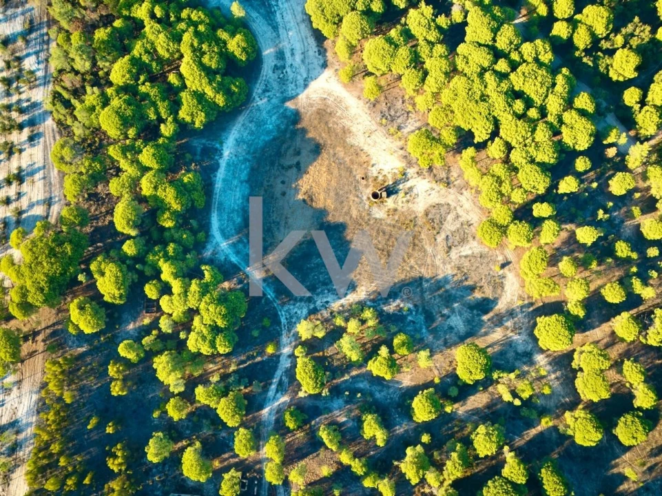 Terreno para Venda em Melides Foto 14