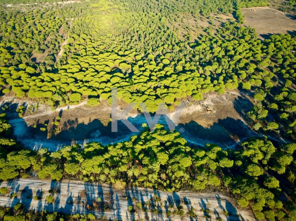 Terreno para Venda em Melides Foto 15