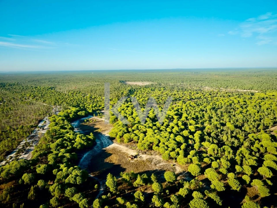 Terreno para Venda em Melides Foto 20