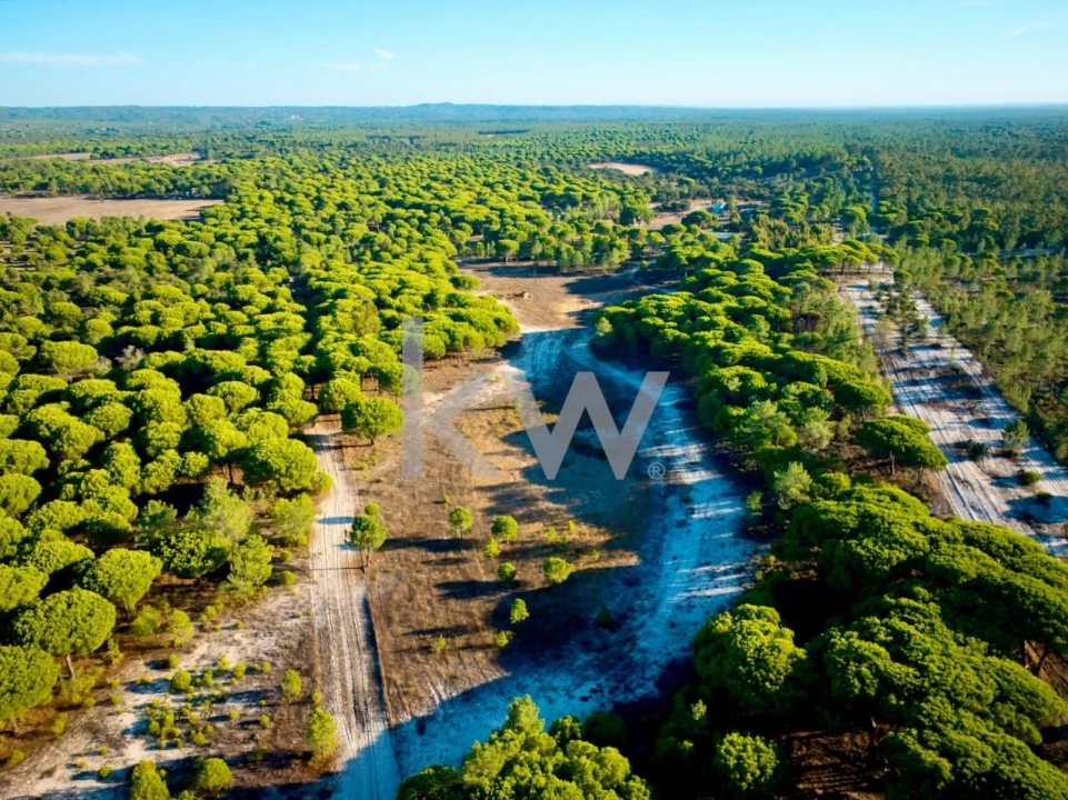 Terreno para Venda em Melides Foto 27