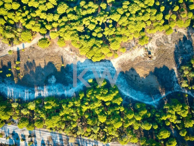 Terreno para Venda em Melides Foto 10