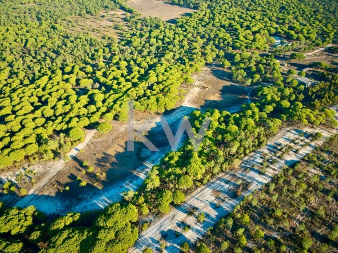 Terreno para Venda em Melides Foto 16