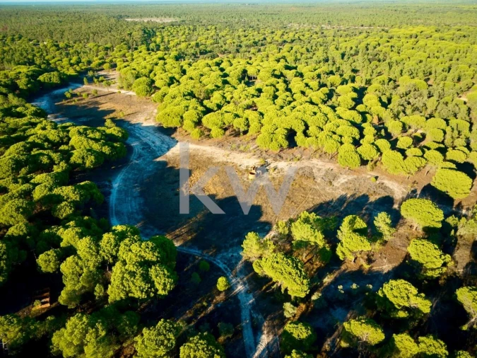 Terreno para Venda em Melides Foto 24