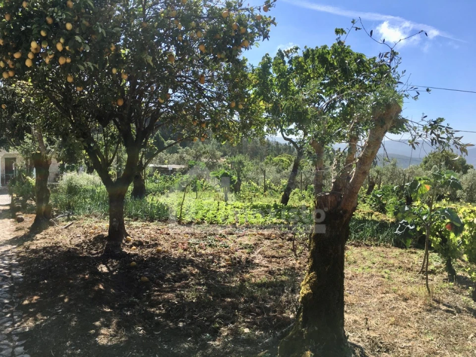 Quinta T3 para Venda em Arega Foto 5