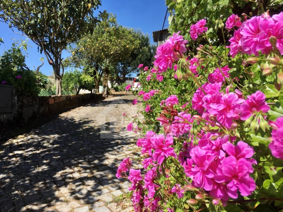 Quinta T3 para Venda em Arega Foto 8