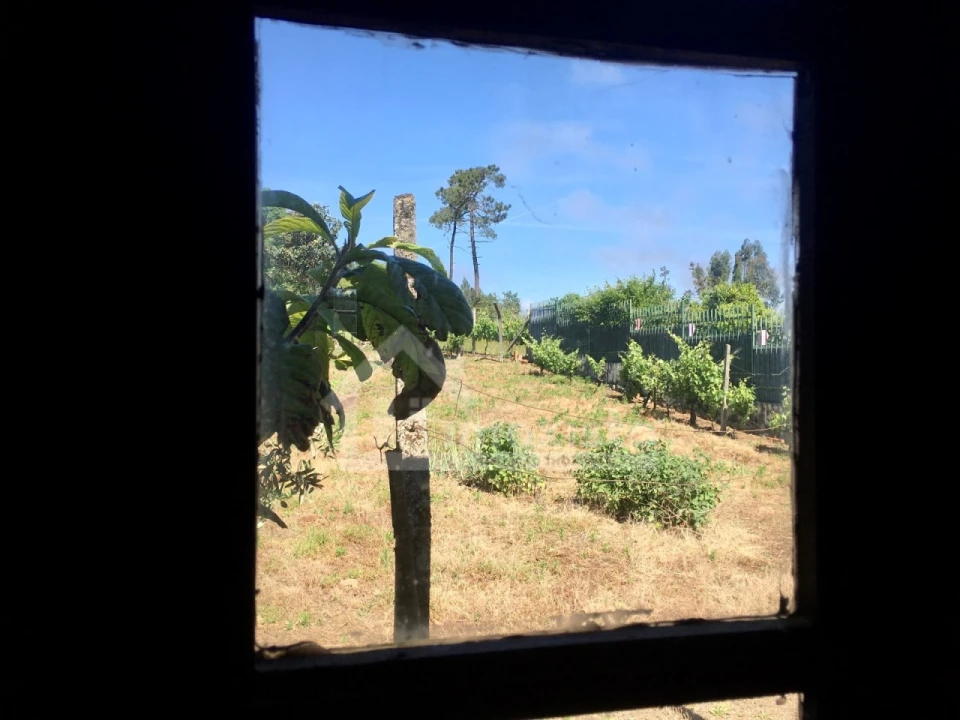 Quinta T3 para Venda em Arega Foto 39