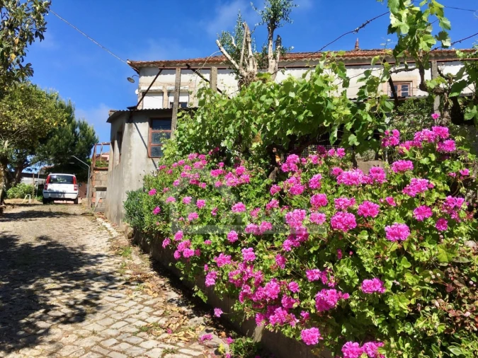 Quinta T3 para Venda em Arega Foto 3