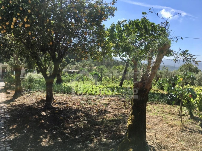 Quinta T3 para Venda em Arega Foto 5