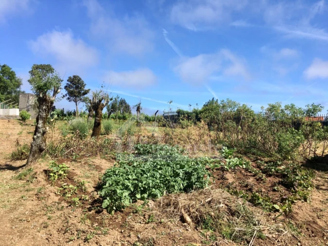 Quinta T3 para Venda em Arega Foto 10