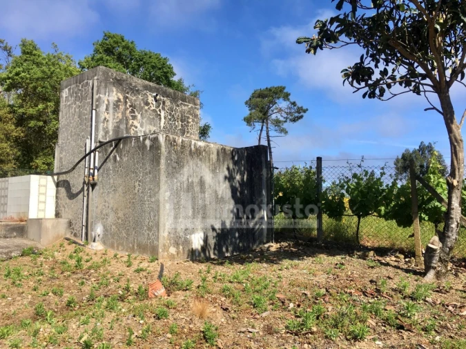 Quinta T3 para Venda em Arega Foto 11