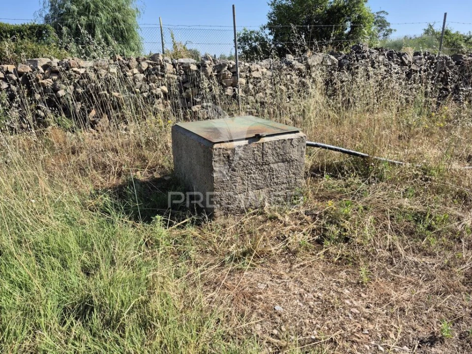 Terreno para Venda em Borba (Matriz) Foto 9