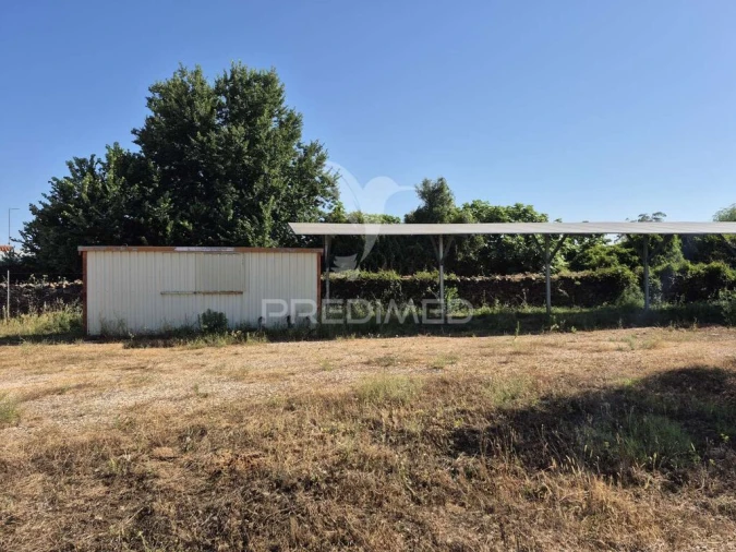 Terreno para Venda em Borba (Matriz) Foto 5