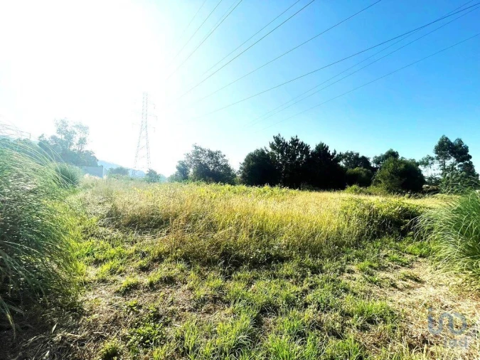 Terreno para Venda em Mujães Foto 2
