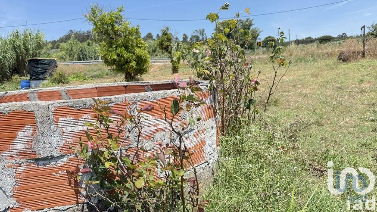 Terreno para Venda em Alcanede Foto 13