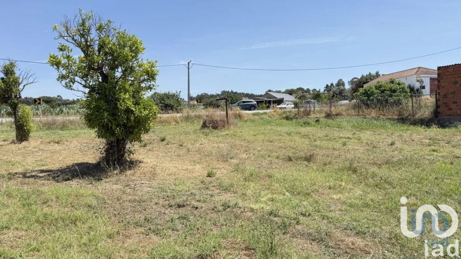Terreno para Venda em Alcanede Foto 11