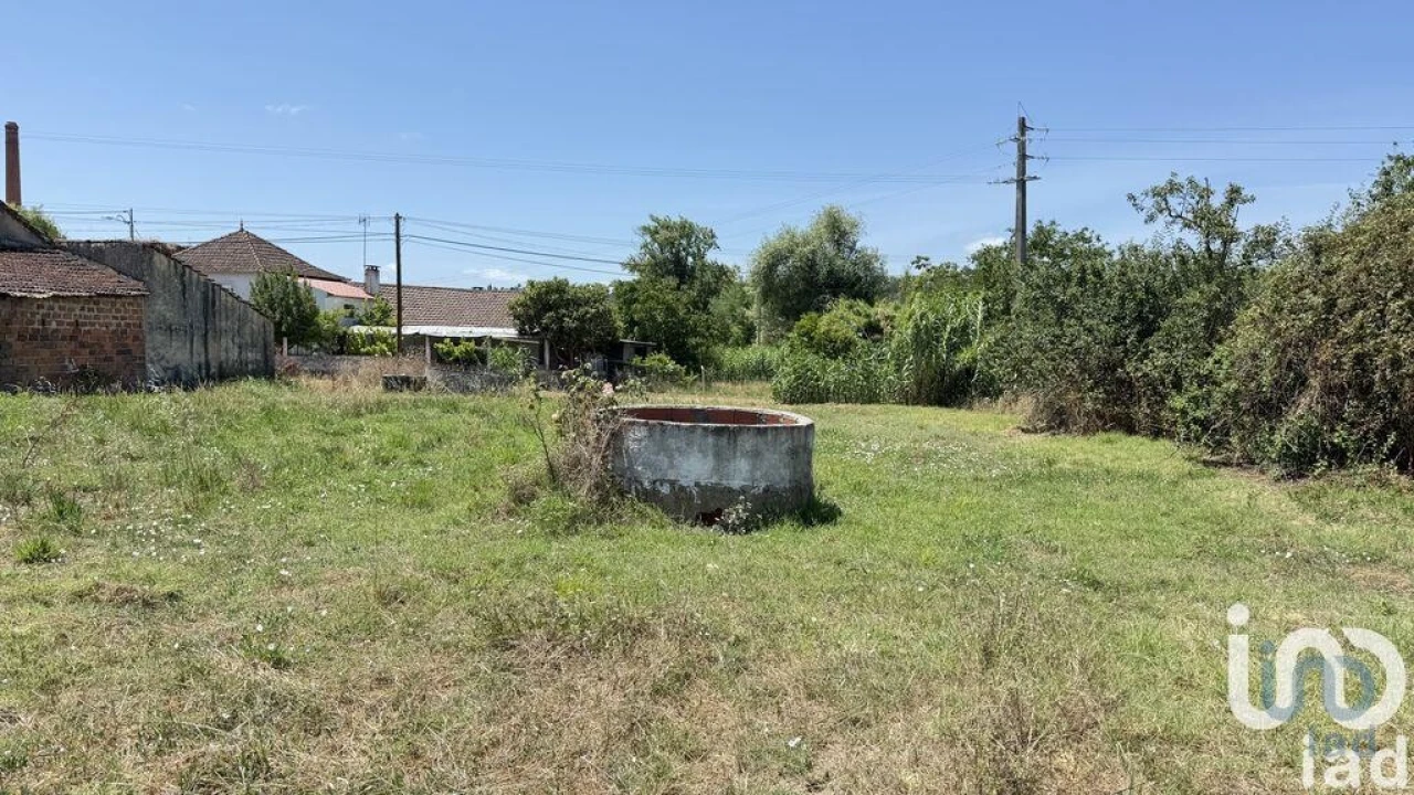 Terreno para Venda em Alcanede Foto 9