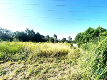 Terreno para Venda em Mujães
