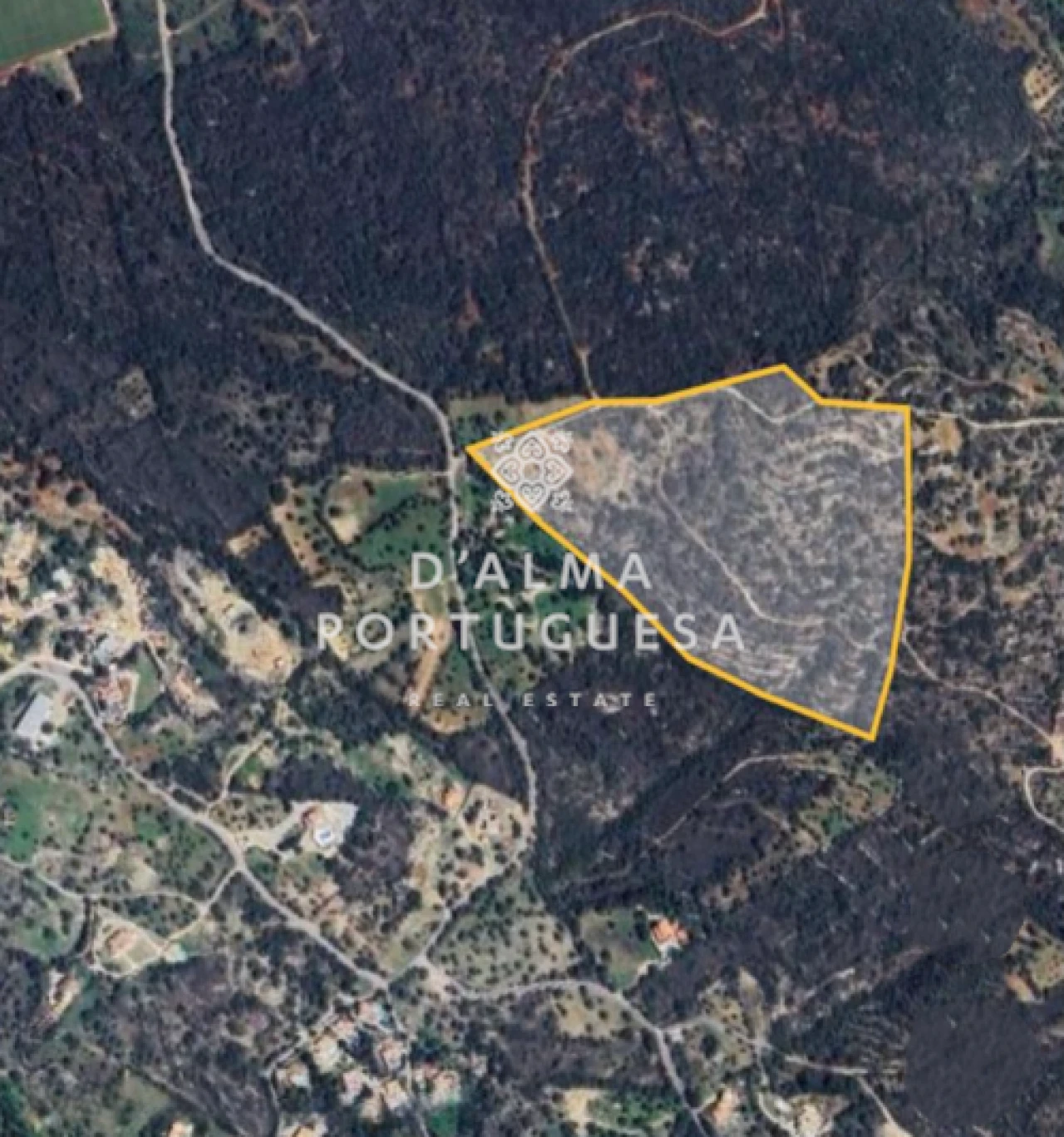 Terreno para Venda em São Brás de Alportel Foto 1