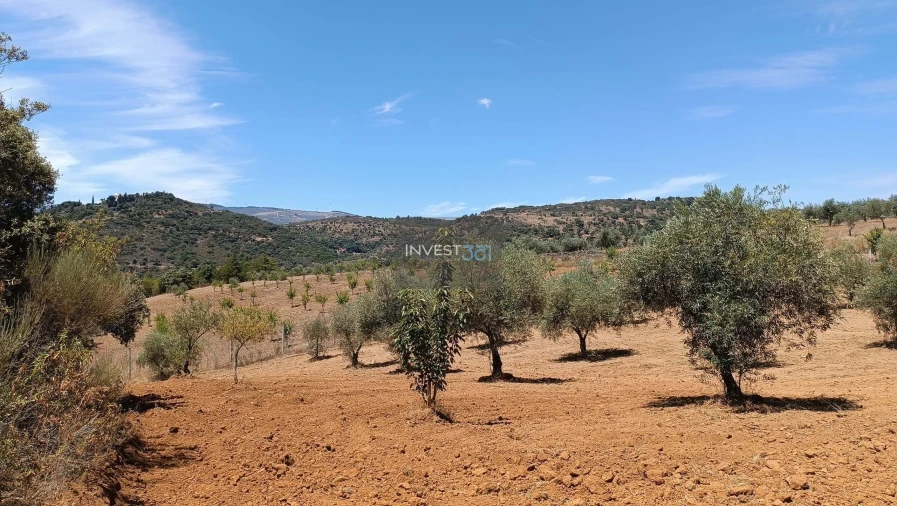 Moradia T3 para Venda em Morais Foto 11