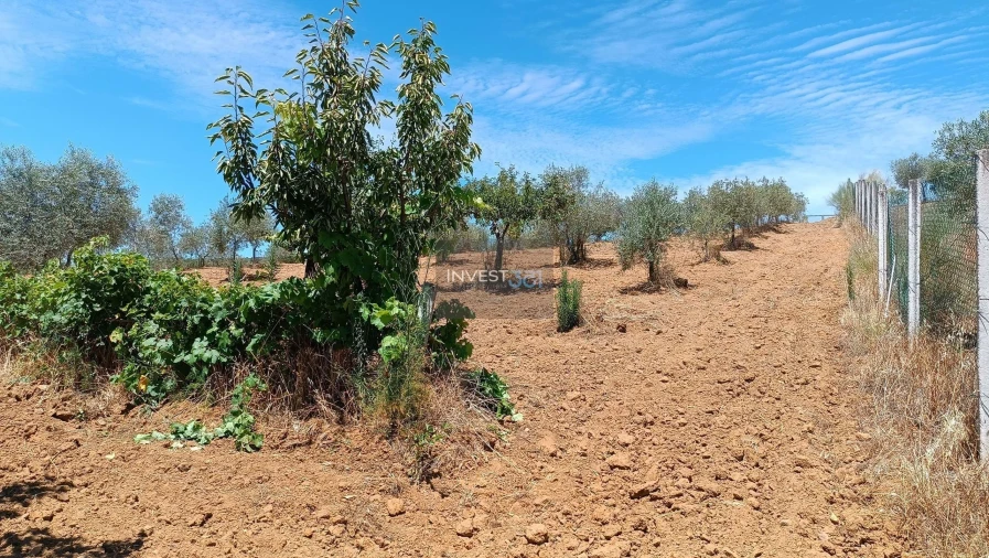 Moradia T3 para Venda em Morais Foto 14