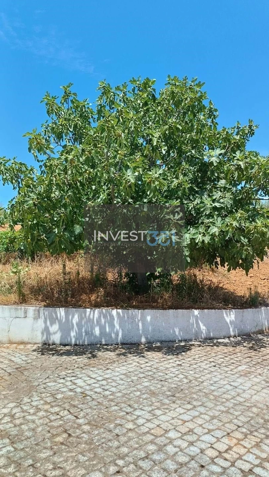 Moradia T3 para Venda em Morais Foto 4