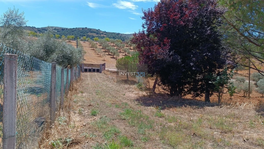 Moradia T3 para Venda em Morais Foto 8